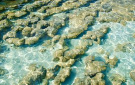 Salzwannen in Namibia als Geoarchive für regionale Klimaveränderungen