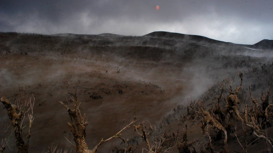 Vegetation burnt by tephra