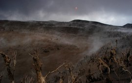 Durch Tephra verbrannte Vegetation