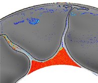 Chemically heavy material is accumulated into piles above the core-mantle boundary