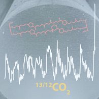 Symbol mit einem Eiskern, einer schematischen CO2-Aufzeichnung und einem GDGT-Molekül