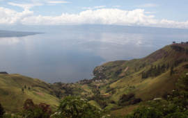 The picture shows green hills and water behind them.