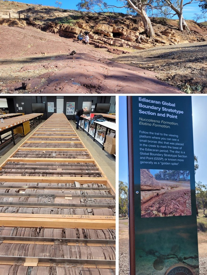 Kernlager Adelaide und Besuch von Aufschlüssen in den Flinders Ranges