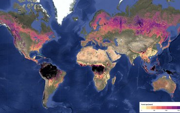 World map in Mercator projection with naturally colored surface. Forests overlaid as colored areas on the map, in different colors depending on their age.