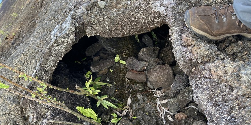 Young lava, Piton de la Fournaise, volcano on Réunion