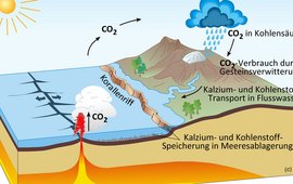 Die Abbildung zeit einen Querschnitt der Erde und visualisiert den CO2-Kreislauf