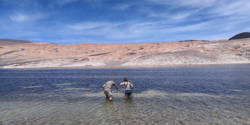 Probennahme von Oberflächensedimenten der Laguna Peinado