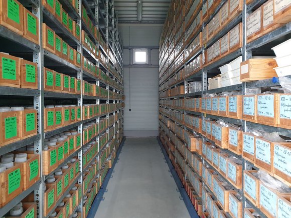 Room-high shelves to the right and left of a corridor, filled with small labelled boxes.