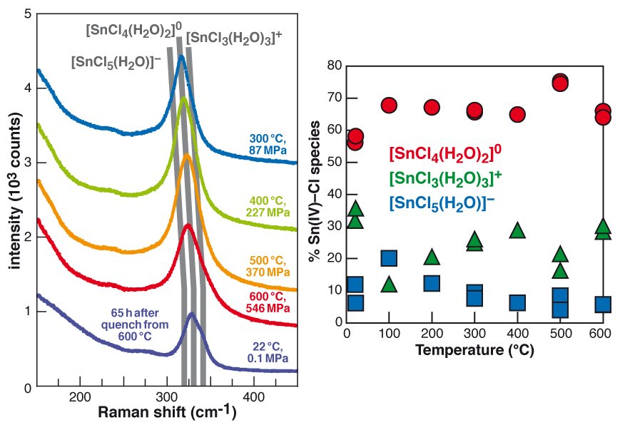 Raman-spektroskopisch in situ bestimmte Sn(IV)-Speziation in einem Experiment mit Cassiterit (SnO2) und 1.63 molaler HCl-Lösung