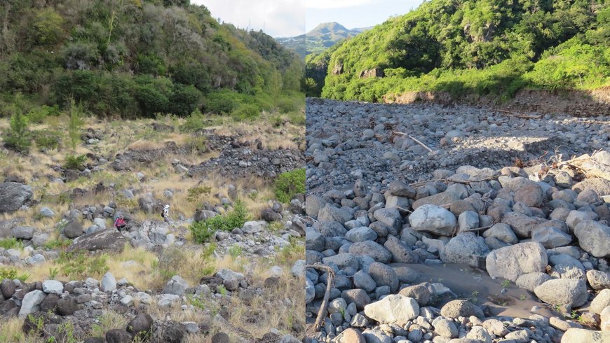 Before and after cyclone