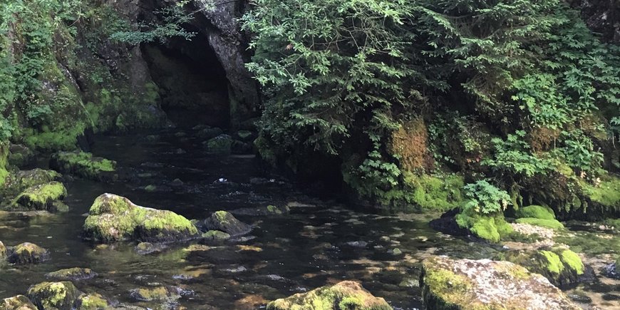 Doubs Quelle, Jura