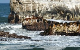 The photo shows rocks in the sea