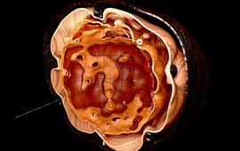 A representation of the Earth, or more precisely of the variations of the Earth's magnetic field, that looks like the average of a chestnut.