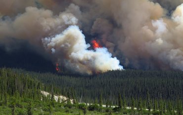 Feuer in einem Wald, Rauch steigt auf, Luftaufnahme von oben