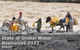 People loading donkeys with water from a river.