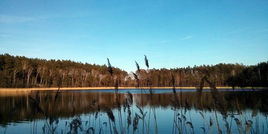 Der Gleboczeksee in Polen (BaltRap Untersuchungsgebiet)