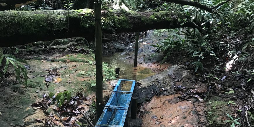 Quiock Creek, Guadeloupe