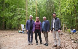 Four people on a forest path, trees in the background