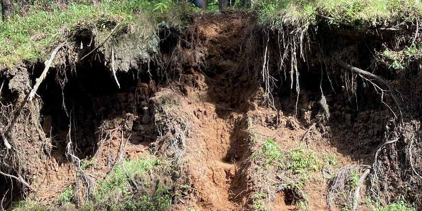 Soil section, Réunion