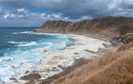 Eine Steilküste am Meer. Der Bereich vor der Steilküste wurde offenbar angehoben, da hier ehemals unter dem Meer liegender Grund nun oberhalb der Wasseroberfläche liegt.