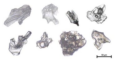 The image shows tiny glass particles from the volcanic ash of volcanoes ...