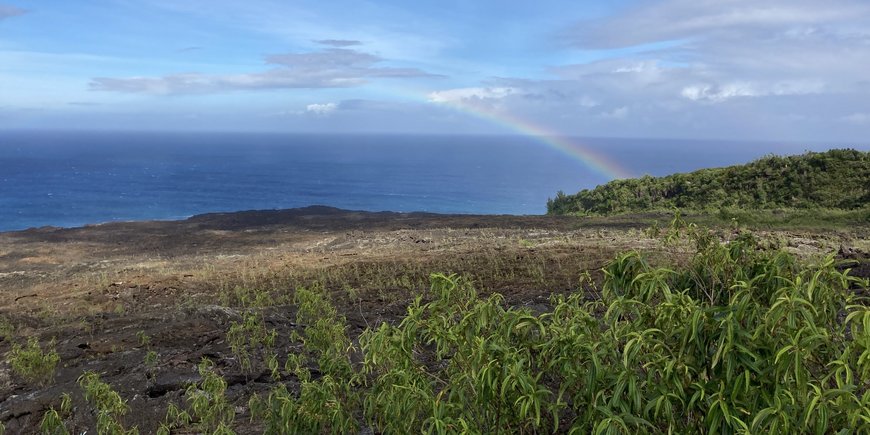 [Translate to English:] Junge Lava, Piton de la Fournaise, Vulkan auf Réunion