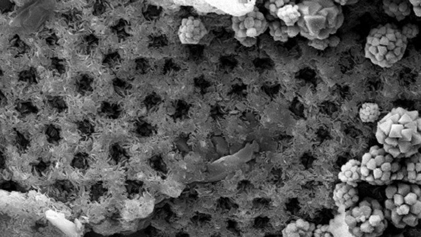 Pyrite framboids and berthierine clusters as fossilized signals of oil degradation at an oil-water contact in a glauconite-bearing sandstone reservoir