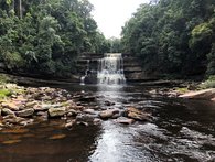 Tropischer Regenwald auf der Insel Borneo