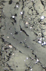 Unterschiedliche Aromatisierung von marinem organichen Material in Uran-reichem Alum Shale (cbr/o)