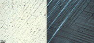 Growth of hydrous zoisite needles along deformation features in plagioclase grain. The sample was collected on Holsnøy, SW Norway. The image on the left was taken in polarised light and the image on the right in crossed polarised light at a polarised light microscope