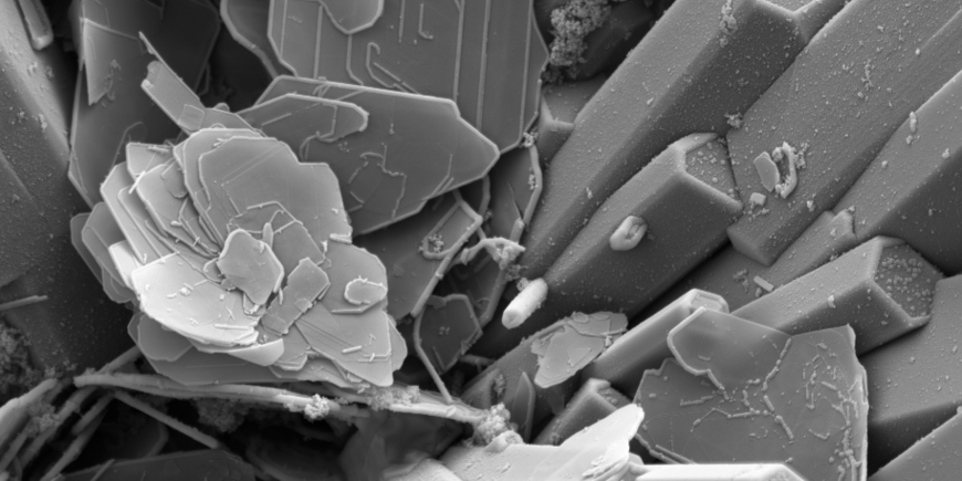 Rasterelektronenaufnahme zeigt Turmalin (stenglige Kristalle) neben Glimmer (Plättchen) als Syntheseprodukte eines Hochdruckversuches (4 kbar, 600°C)