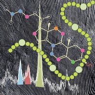 Symbol, das ein Dickinsonia-Fossil, ein Cyanobakterium, eine Steroidstruktur und ihre chromatographische Spur darstellt