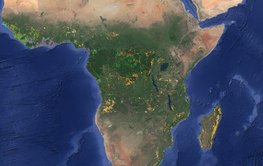 Section of the world map focussing on Africa. Many colourful dots mark the location and type of different forms of land use after deforestation.