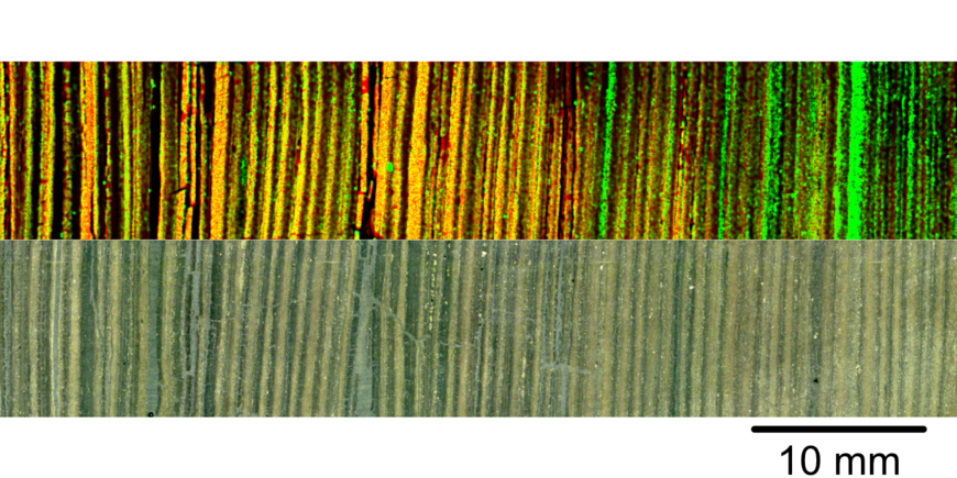 Varved sediments