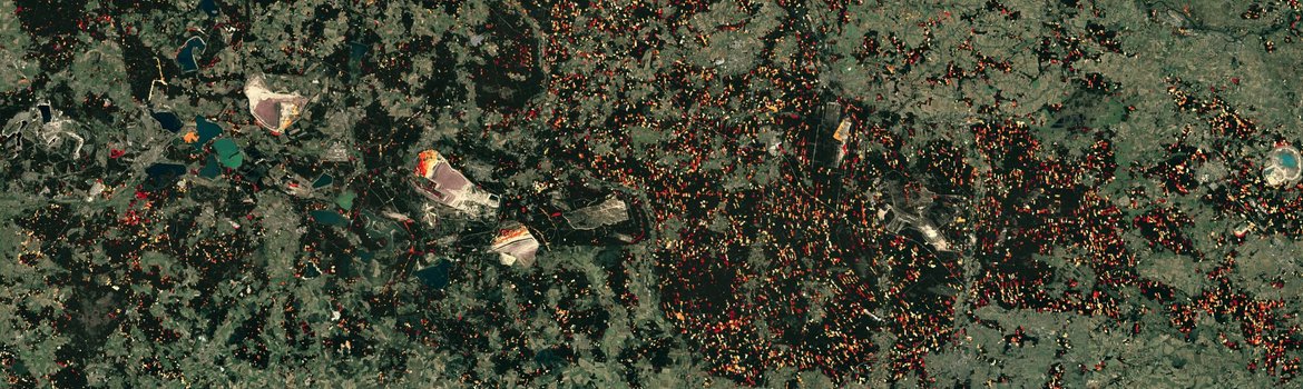 Satellitenaufnahme einer Landschaft mit vielen kleinteiligen Flächen in verschiedenen Grüntönen. Dazwischen Sprenkel in Weiß, Gelb, Orange und Rottönen, die auf der östlichen Seite des Bildes - in Polen - sehr viel häufiger und dichter sind.