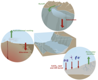 Boron Adsorption