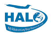 HALO Logo